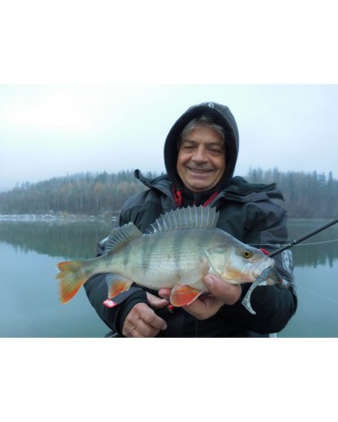 Guma Fox Rage Slick Shad