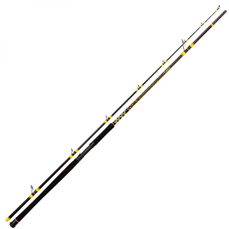 Wędka Black Cat Passion Pro DX 270 600g