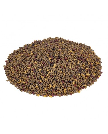 Pellet Do Koszyka Method Feeder Lorpio Ultra R1 Multicolour 2.00mm 700g