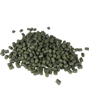 Pellet Zanętowy Method Feeder Lorpio Green Betaine 6.0mm 700g