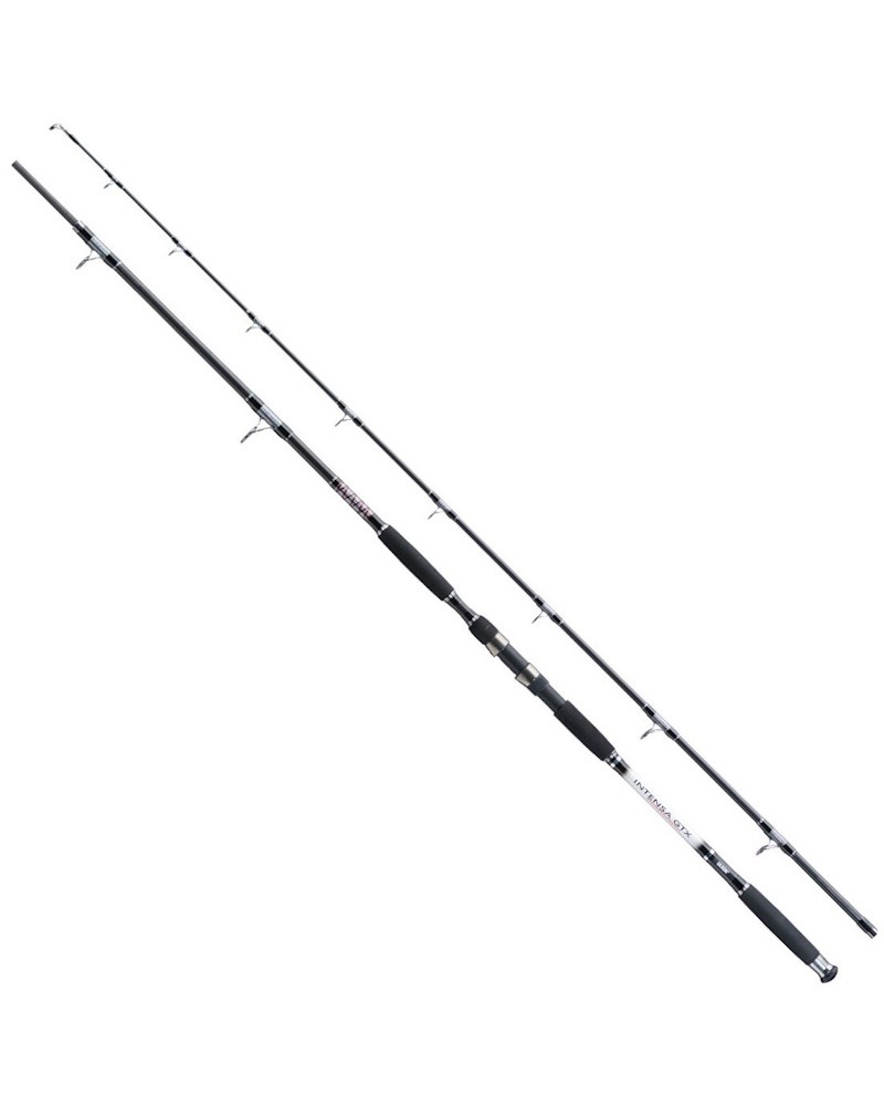 Wędka Sumowa Jaxon Intensa GTX Cat Fish HD 3.00m up to 500g 2cz.