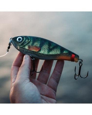 Wobler Rapala X-Rap Haku 14cm 74g XRHK14 ROL Live Roach