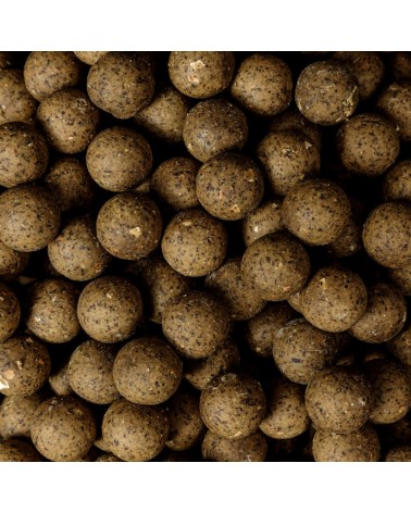 Kulki Proteinowe Zanętowe Carp Target Kukurydza Konopie Sweetcorn Hemp 20mm