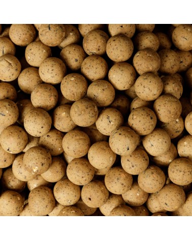 Kulki Proteinowe Zanętowe Carp Target Słodka Kukurydza Sweetcorn 24mm 10kg Wiadro 17L