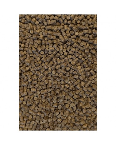 Pellet Zanętowy Feeder Bait Club Series Jasny 6mm 800g