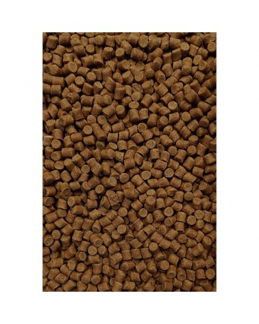 Pellet Zanętowy Feeder Bait Orzech Tygrysi 8mm 800g