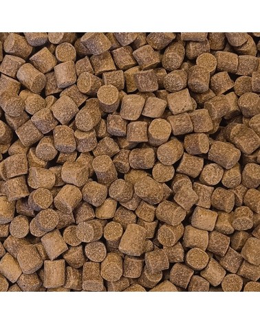 Pellet Feeder Bait Match Feeder Jasny 9mm 800g Do Bombki Sinking Bomb Pellet Waggler