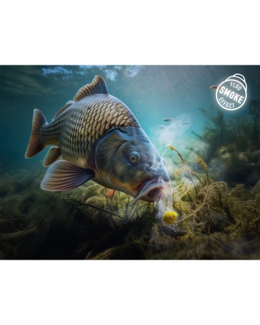 Przynęta Delphin D Snax Shell Wafters Frankfuterka- Chilli 10mm 30g