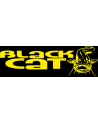 Black Cat